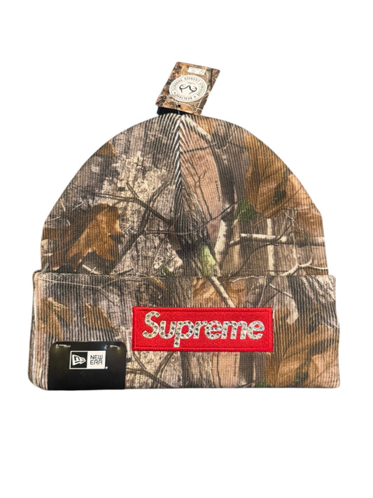Realtree Camo Supreme Iced Box Logo Beanie